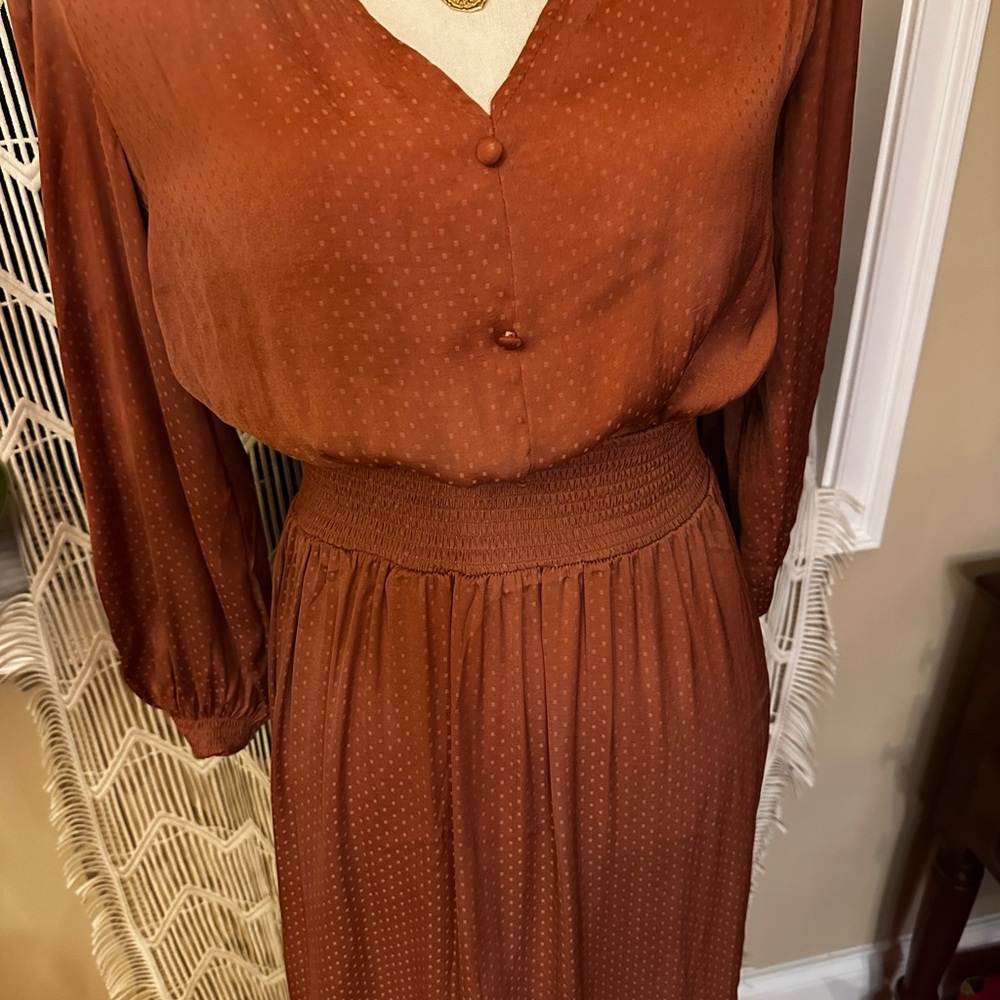 Elegant Rust Dress - Picture 4 of 5